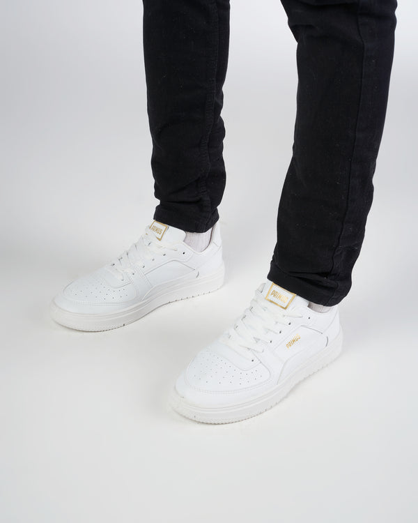 Primus CA Pro Luxe